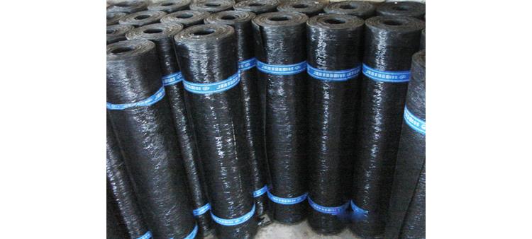 SBS改性瀝青防水卷材 現代建筑防水的關鍵材料