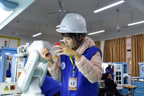 2019年博諾杯工業(yè)機器人維修調試與技術應用賽項在我校開賽