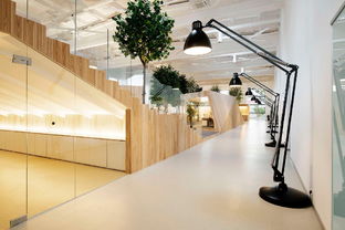 自然優(yōu)雅 恣意尚建——國際工裝設計案例解析